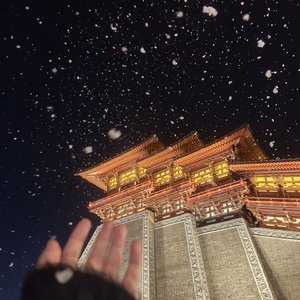 爱就烧成火 不爱就割舍