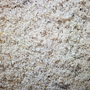 Eres mi arena (Acoustic Version)