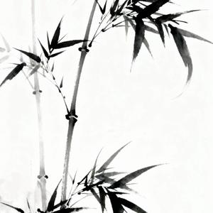 戏文说（奶奶王 remix）