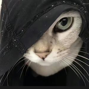 我想念（温柔版）