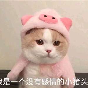 坠入