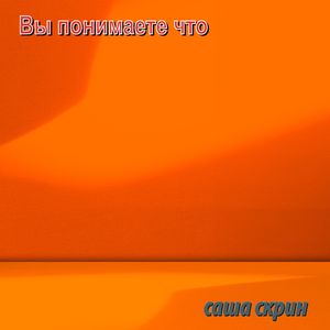 Вы понимаете что