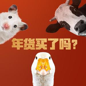 网易严选过年了