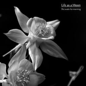 She Waits for Morning