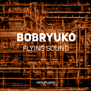 Flying Sound