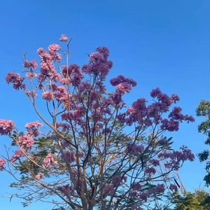 《风的形状》美好的葡萄干圣代-平静-国风