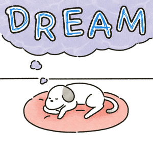 Dream (feat. 와인)