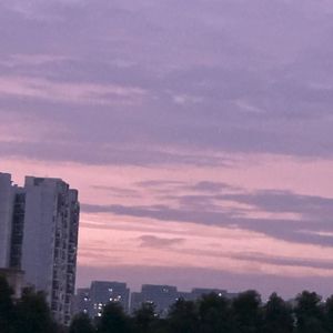 藏在日记里的秘密