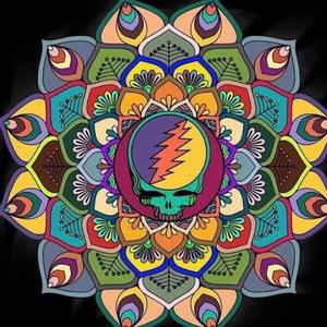 not fade away + iko iko looper jam (raw sample from 3.19.21)