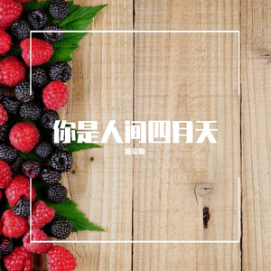 何必再问 (唯美版)