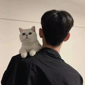 刻在我心底的名字