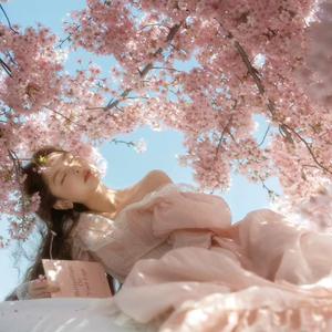 我来不及道声不安（降调版0.8x）