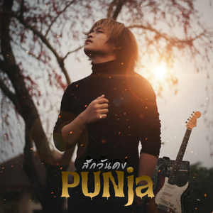 สักวันคง