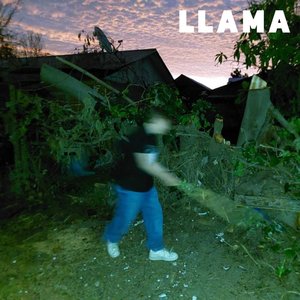 Llama