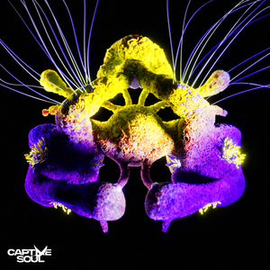 Fragments of Light (Extended Mix)