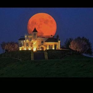 [Free]SAD TELL WHO???「Lofi type beat」