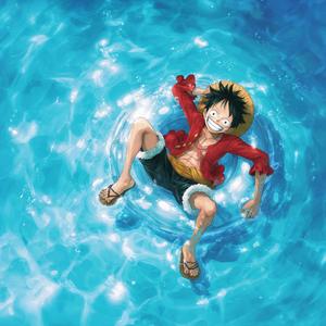 Monkey D Luffy Pirate en vue