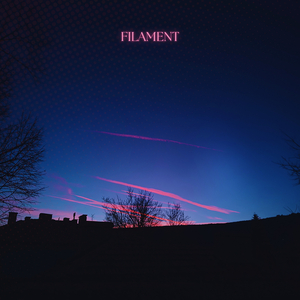 Filament
