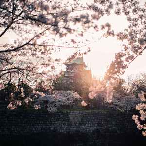 一个人的故事 (钢琴曲)