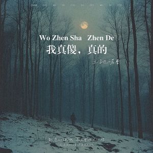 我真傻，真的 (伴奏)