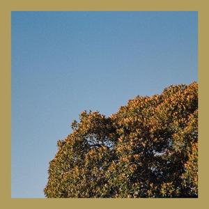 Ether (home version)