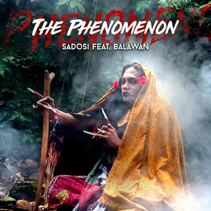 The Phenomenon (feat. Balawan)