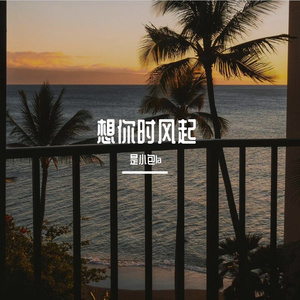 想你时风起