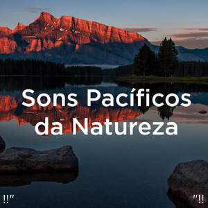 수면을위한 바다의 소리