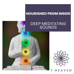 Fetch Free Spirited Energy