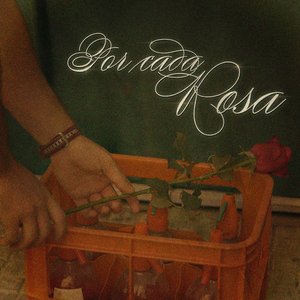 Por cada rosa