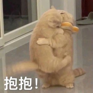 歌曲名还没有想好 demo