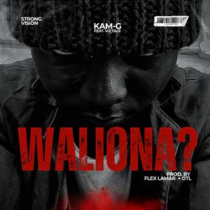 WALIONA? (feat. Viz-Tale)
