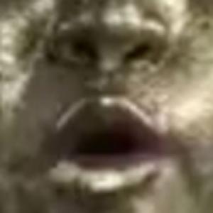 你过关(听不清楚该罚)