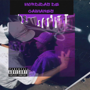 Mordidas de Caimanes