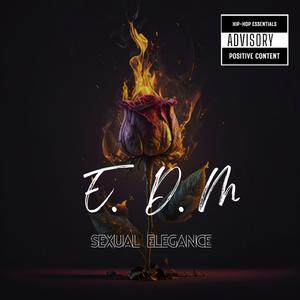 Senxual Elegance (feat. Meachi & SJ)