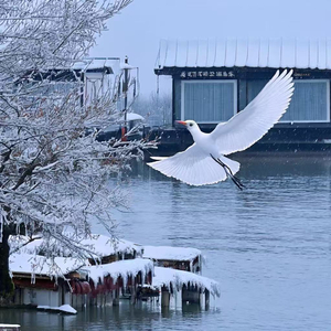 2026年南方下雪了