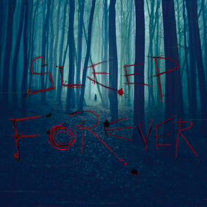 Sleep Forever (Radio Edit)