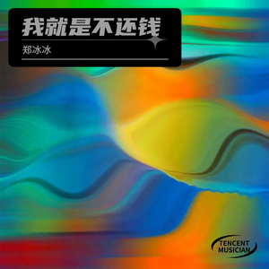 我就是不还钱