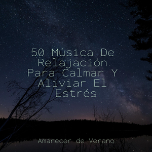 Apertura Serena y Feliz