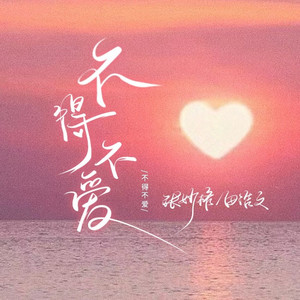 不得不爱 (DJ版)