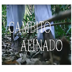 Cambito Afinado