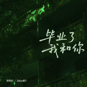 毕业了我和你