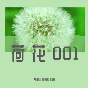 荷花 001 (3)