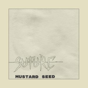 Mustard Seed