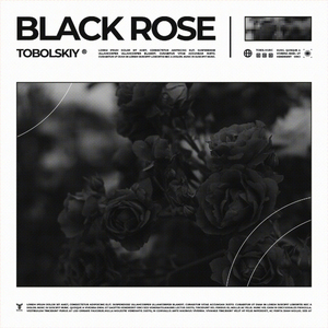 BLACK ROSE