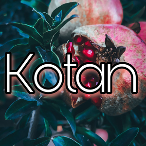 kotan