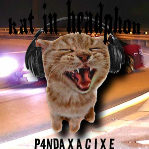 Cat in Headphone