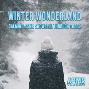 Snowy Night Serenade: Soothing ASMR Sounds of Falling Snow