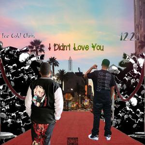 I Didnt Love You (feat. Twelevetwentyone)