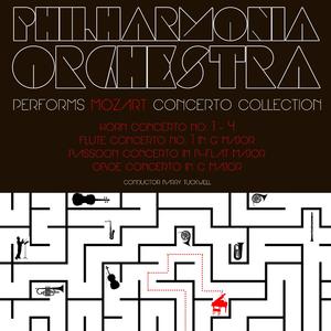 Flute Concerto No. 1 in G Major, K. 313: Allegro maestoso